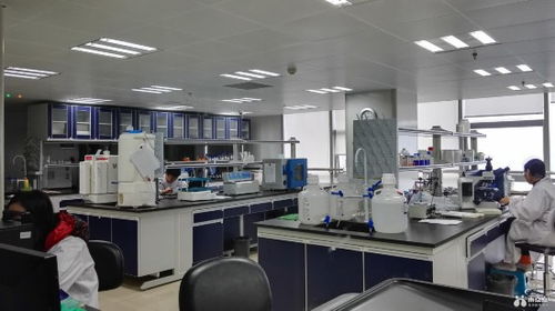 抗擊新型冠狀病毒,嘉興人才專家在行動(dòng)